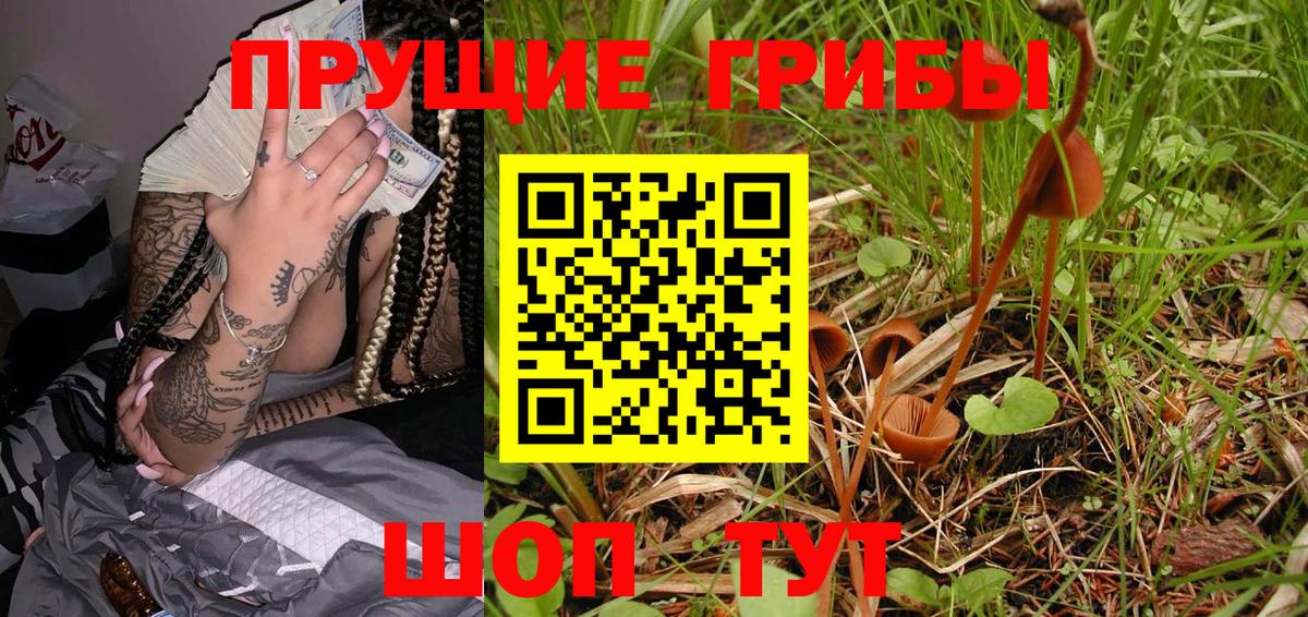 Челябинск  Псилоцибиновые грибы Magic Shrooms  Вход с VPN 
